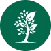 kapha dosha