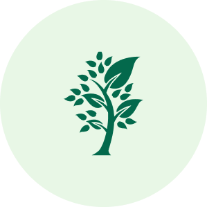 Kapha
