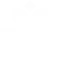 pulse