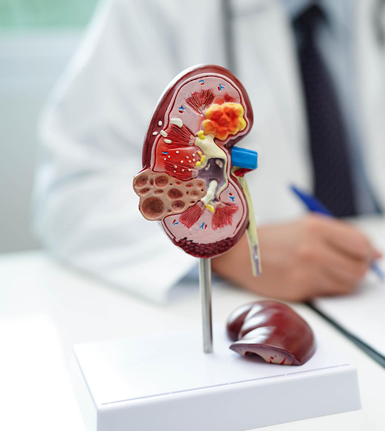 kidney care