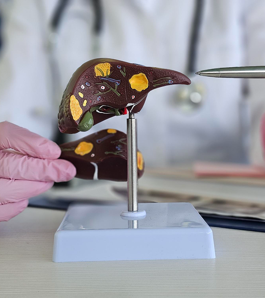 liver care
