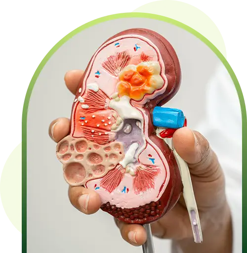 kidney disease