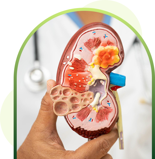kidney disease