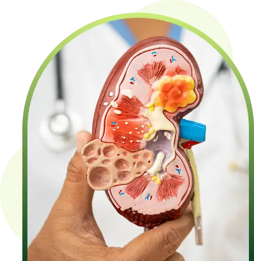kidney disease