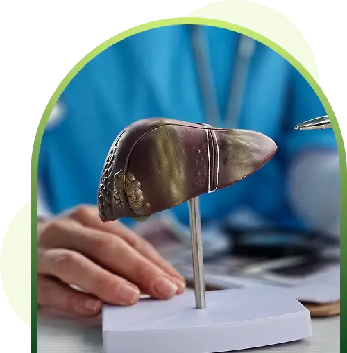 fatty liver