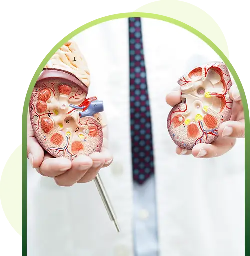 kidney disease