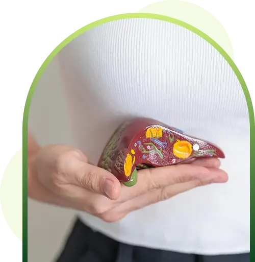 Liver Fibrosis