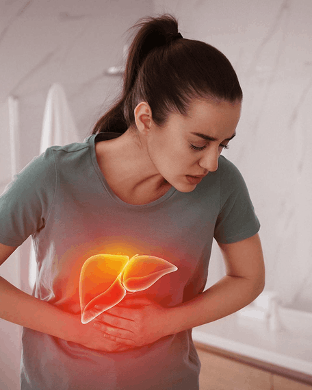 Liver