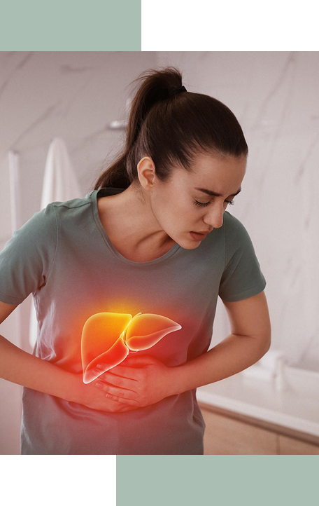 Liver
