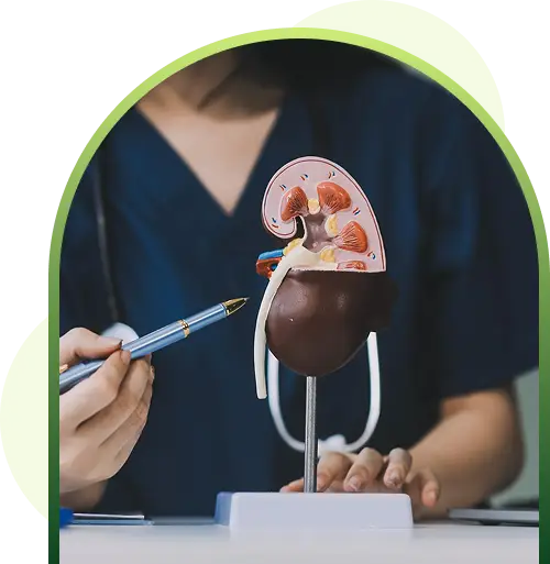 kidney disease