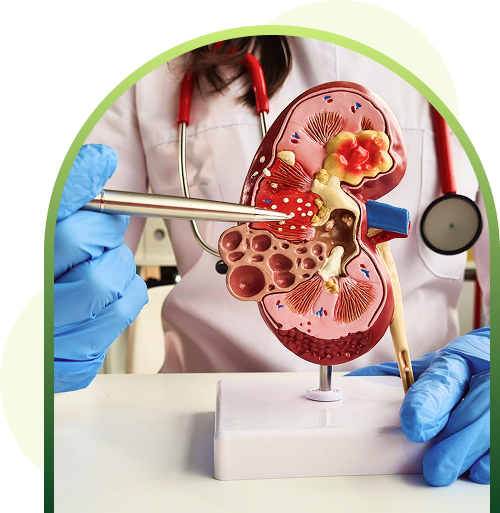 kidney disease