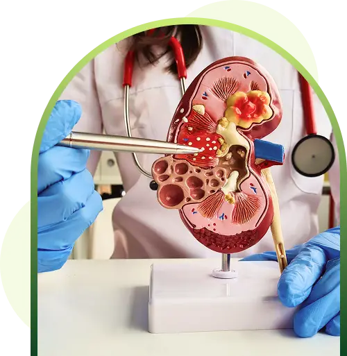 kidney disease