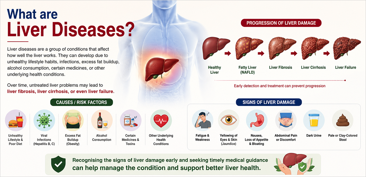 what is liver