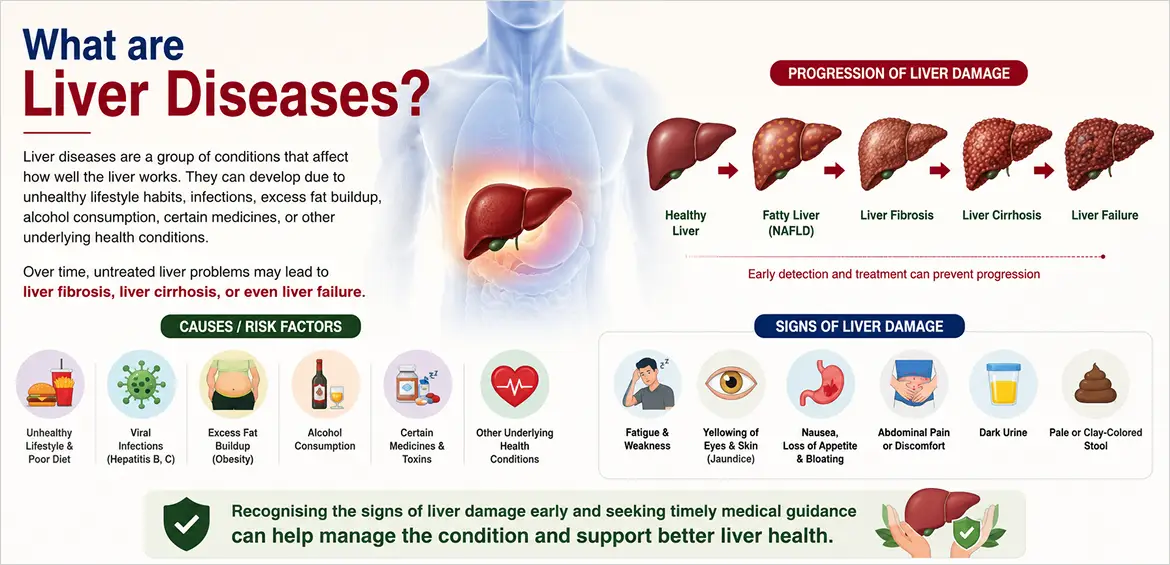 what is liver