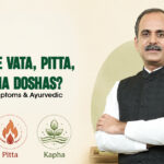 What Are Vata, Pitta, and Kapha Doshas? Body Types, Symptoms & Ayurvedic Guide